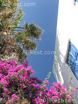 Mykonos Bay Hotel 14